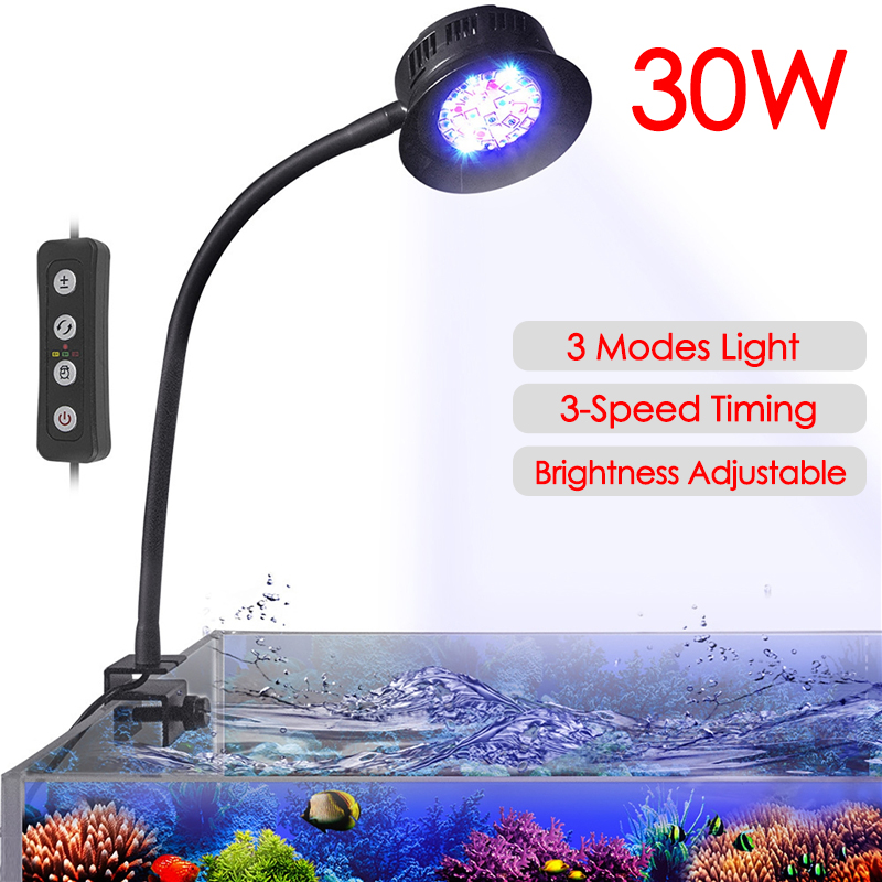 Aquarium Marine Fishes - 30W Akvaryum Balık Tankı Deniz Suyu