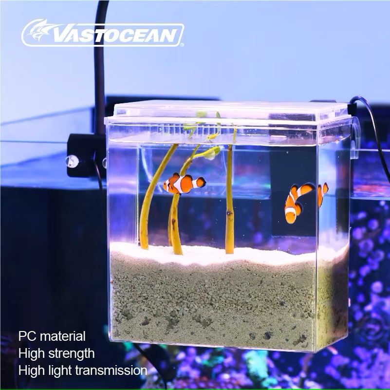 VASTOCEAN Balık Tankı Harici B - Marine Aquarium Overflow incelemesi ve fiyatı