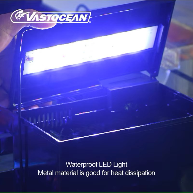 VASTOCEAN Balık Tankı Harici B - Marine Aquarium Overflow incelemesi ve fiyatı