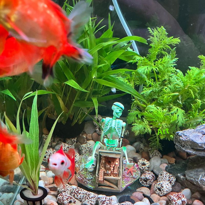Balık Tankı Aerobik Peyzaj Kab - Marine Aquarium Aquascape incelemesi ve fiyatı