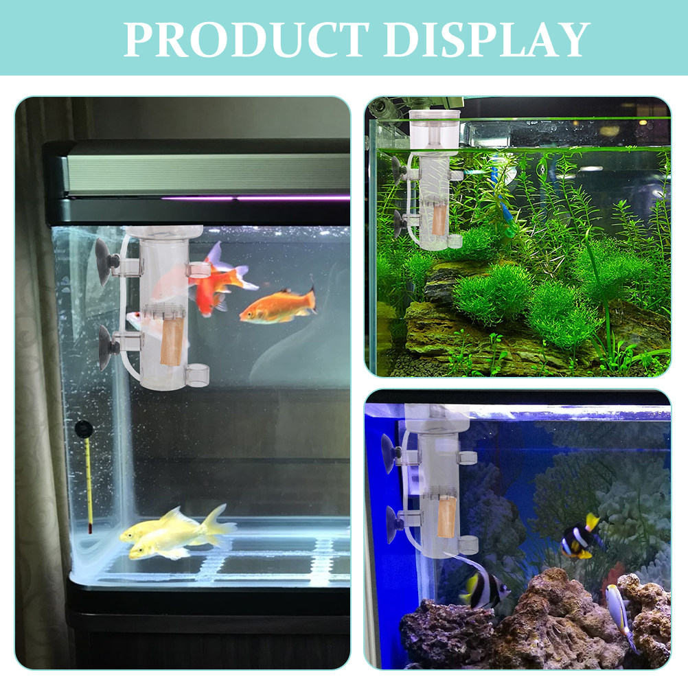Tuzlu Su Balık Tankı Deniz Aks - Aquarium Marine Fishes incelemesi ve fiyatı