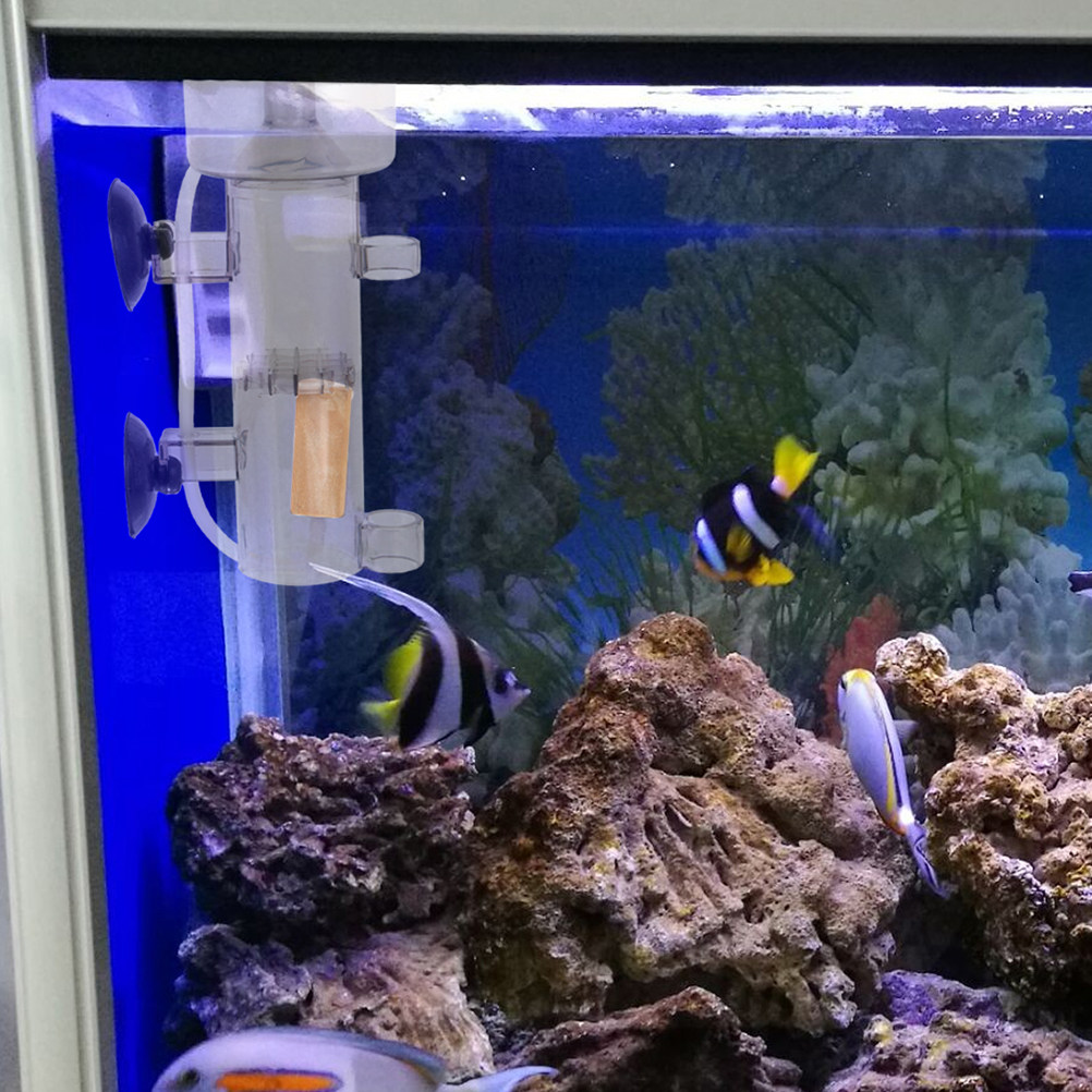 Tuzlu Su Balık Tankı Deniz Aks - Aquarium Marine Fishes incelemesi ve fiyatı