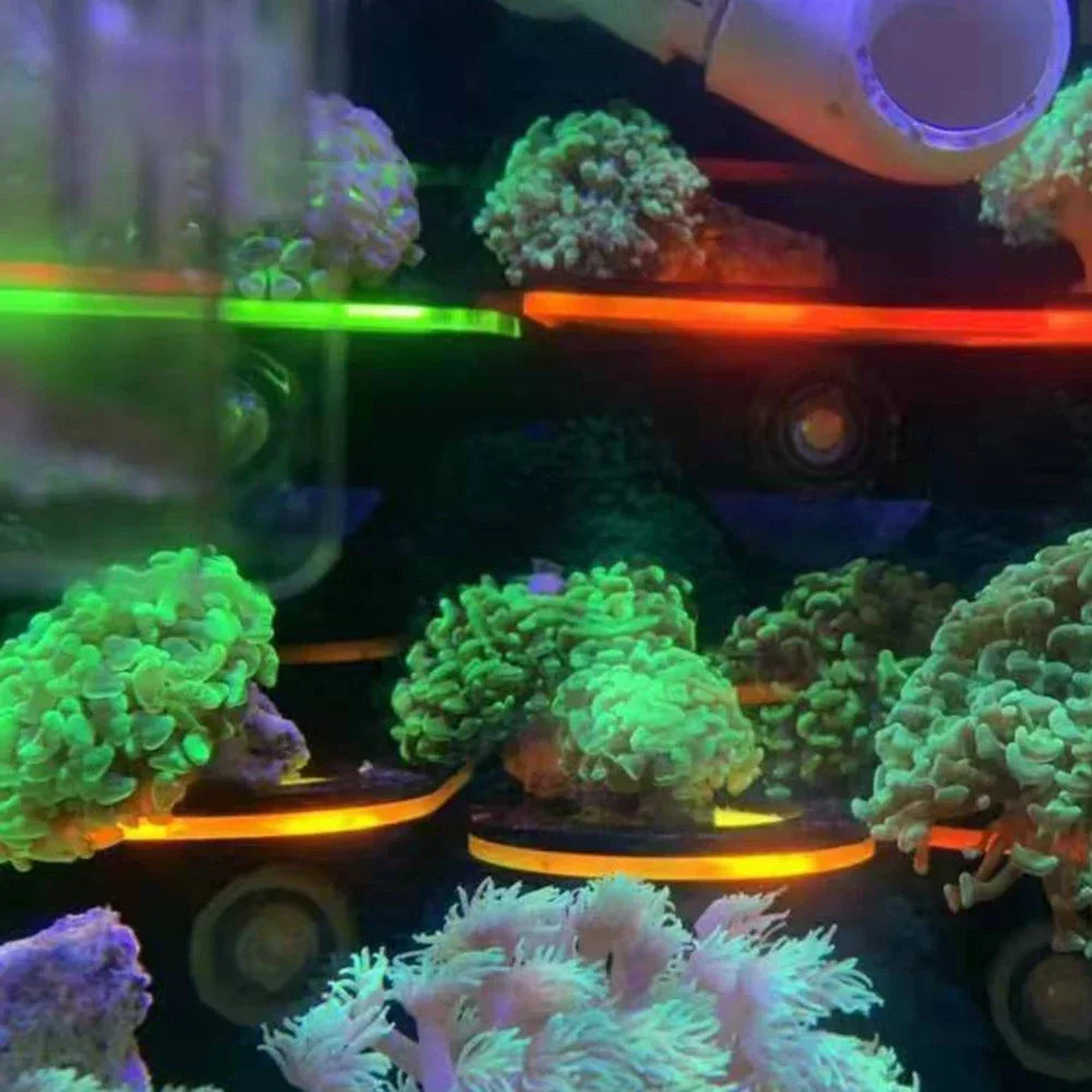 Balık Tankı Akrilik Floresan M - Aquarium Marine Fishes incelemesi ve fiyatı