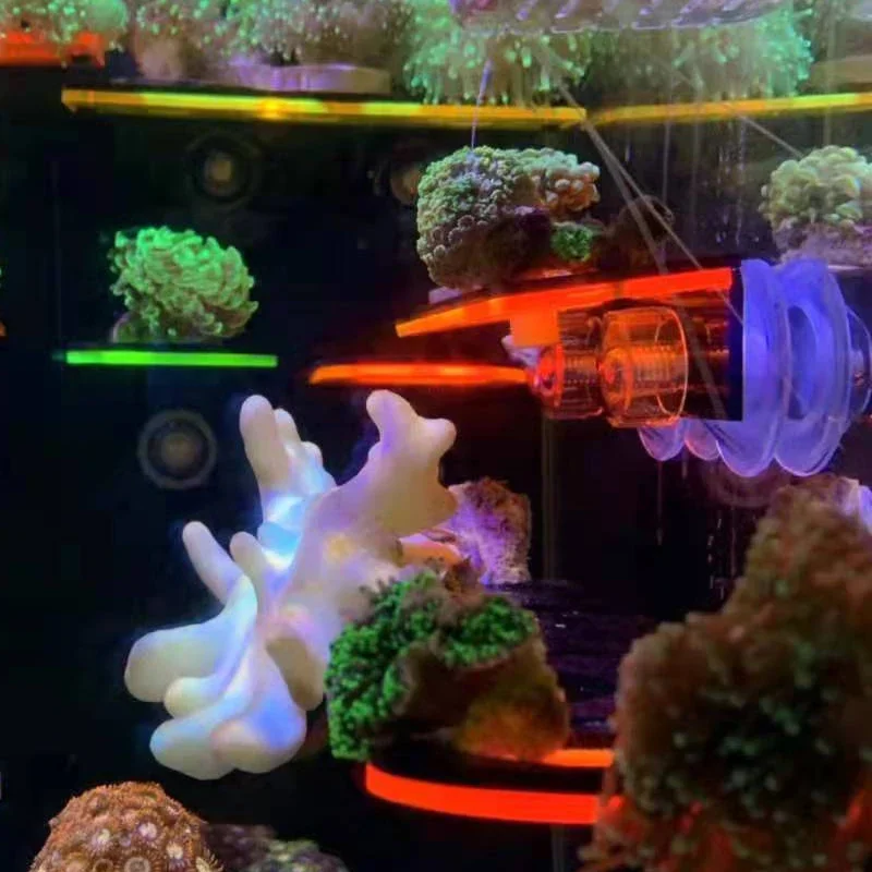 Balık Tankı Akrilik Floresan M - Aquarium Marine Fishes incelemesi ve fiyatı