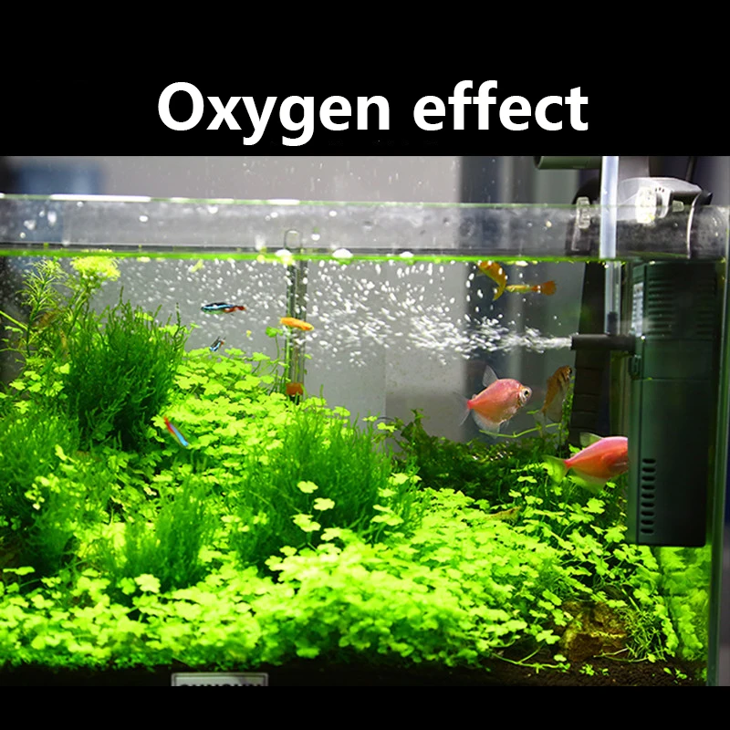 SUNSUN mini nano 111B 311B 611 - Marine Aquarium Reactors incelemesi ve fiyatı