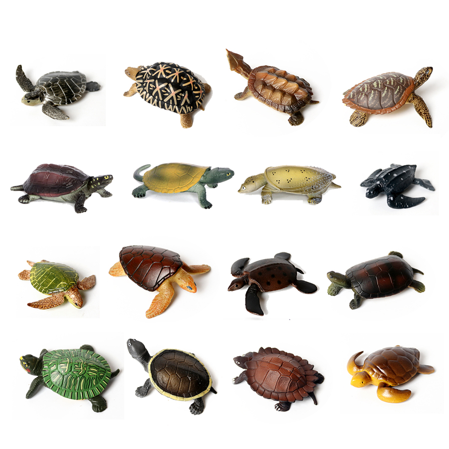 Gerçekçi minyatürleri deniz ya - Aquarium Marine Fishes incelemesi ve fiyatı